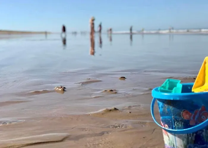 Hébergement de vacances Maison Avec Piscine Chauffée Et Tennis, Proche - 4 Pers., - Fr-1-231-324 Bretignolles-sur-Mer
